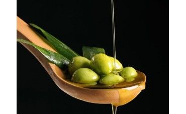 Guía completa para elegir el mejor aceite de oliva ecológico: ¡Sabor y sostenibilidad en cada gota!
